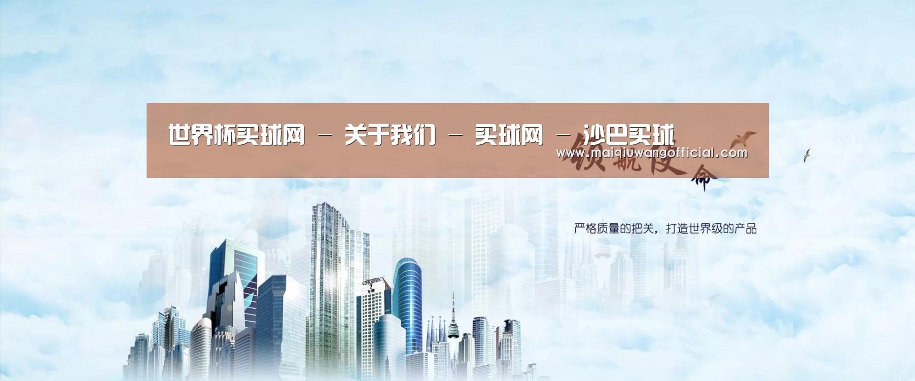 买球网公司