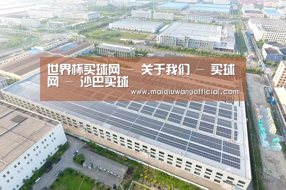 案例展示一