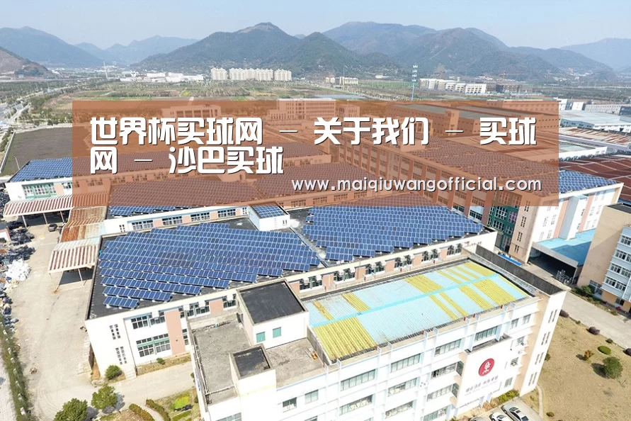 案例展示二