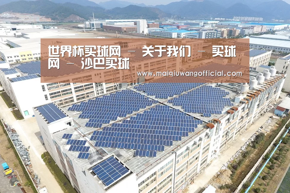 案例展示一