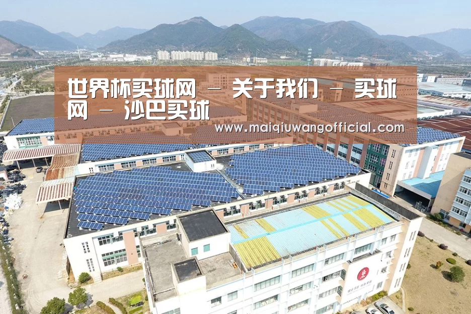 案例展示四