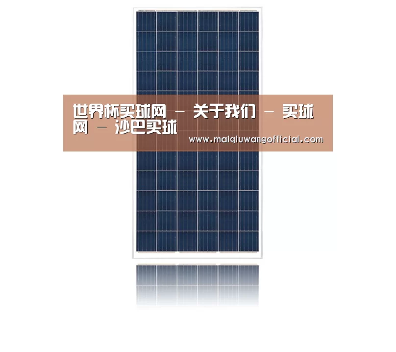 产品名称一