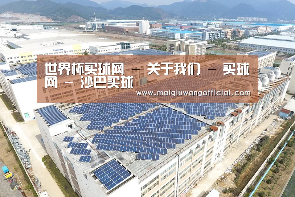 案例展示二