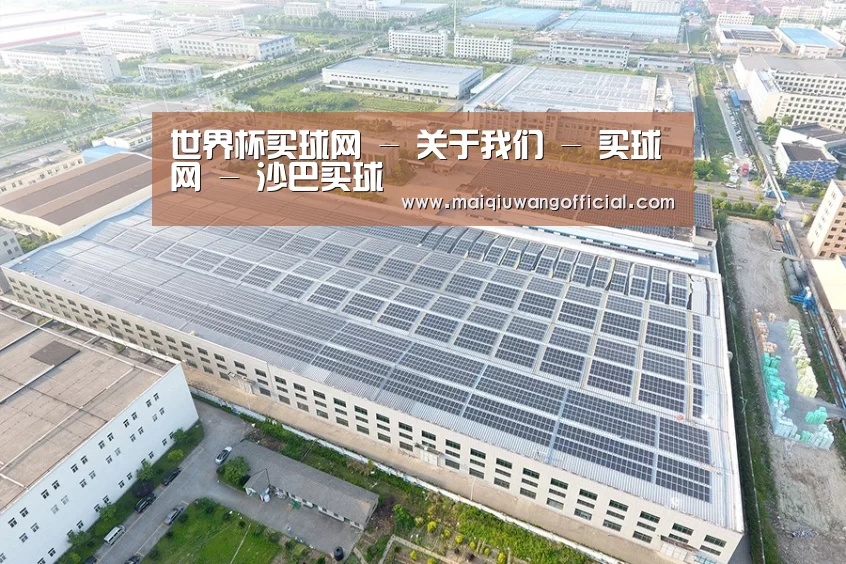 案例展示二