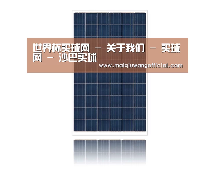 产品名称四