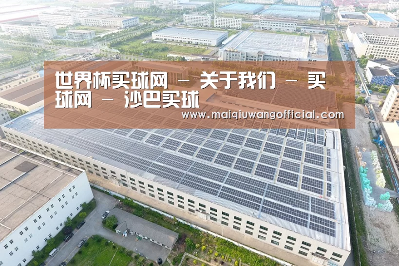 案例展示三