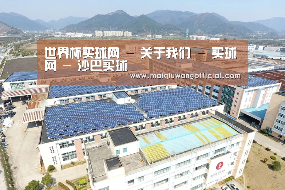案例展示三