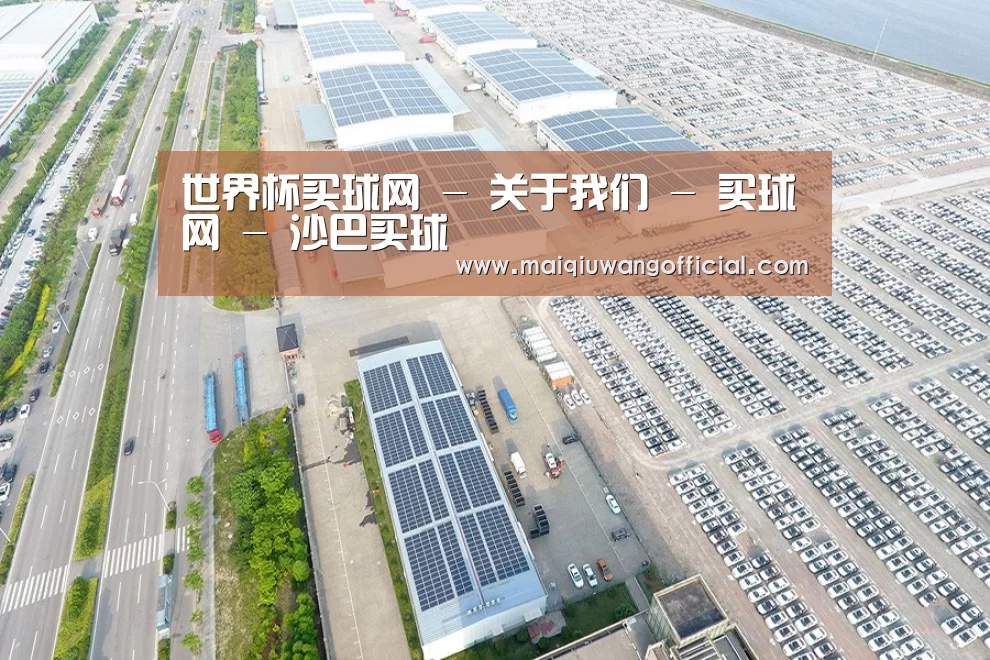 案例展示四