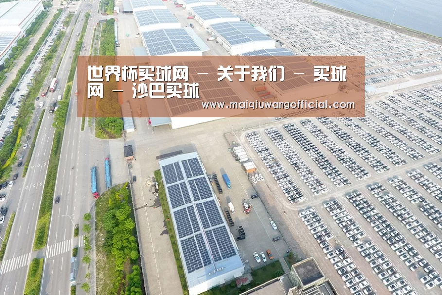 案例展示三