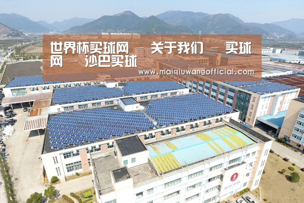 案例展示三