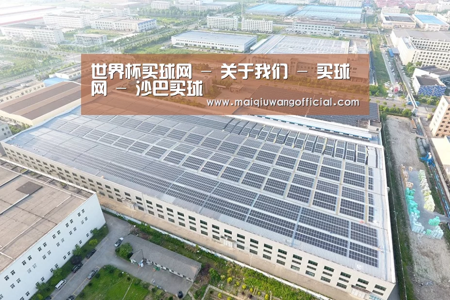 案例展示四