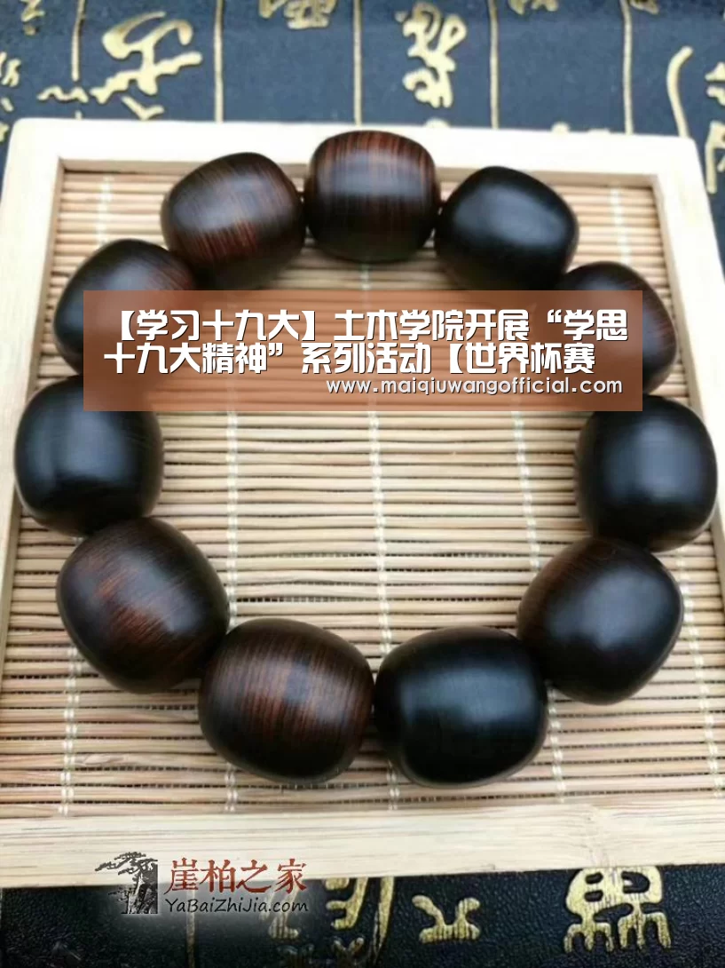 【学习十九大】土木学院开展“学思十九大精神”系列活动【世界杯赛程】(图1) 买球网