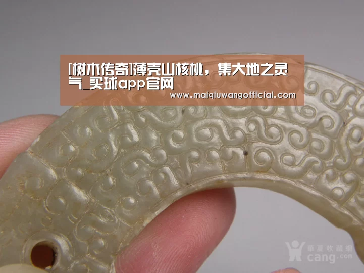 买球网官网