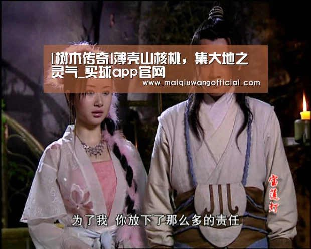 买球app官网
