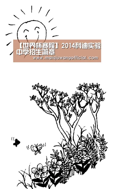 世界杯赛程