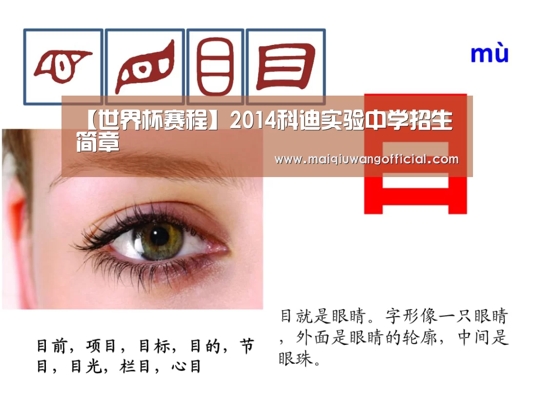 买球网
