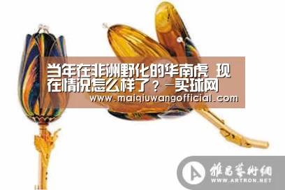当年在非洲野化的华南虎 现在情况怎么样了?-买球网(图1) 世界杯赛程