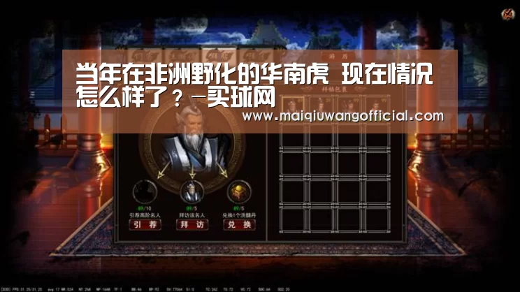 当年在非洲野化的华南虎 现在情况怎么样了?-买球网(图2) 买球app官网